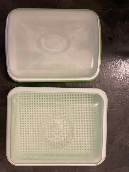 Photo of free Trays for sprouting seeds (LA1 Central) #2