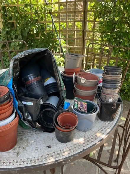 Photo of free Variety of plastic plant pots (Orpington) #2