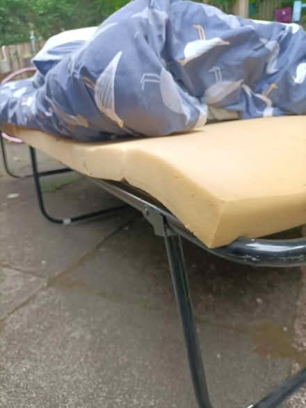 Photo of free Pop up spare bed (Brampton CA8) #3