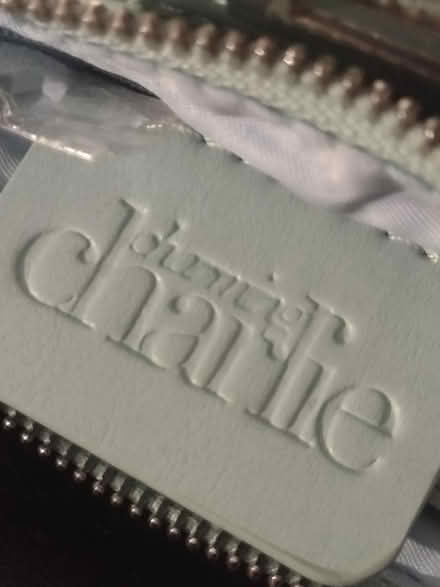 Photo of free Charming Charlie Vegan Mini Purse (Ballard) #3