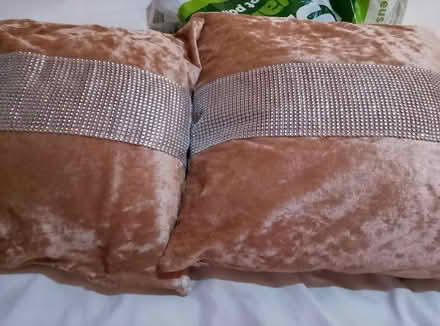 Photo of free Sofa cushions (South ockendon RM15) #2