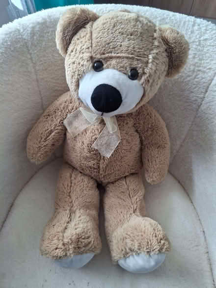 Photo of free Teddy bear (Penrith CA11) #1