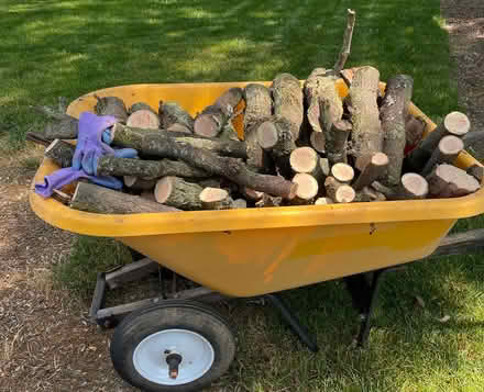 Photo of free Bonfire Wood (21 Mile & Hayes) #1