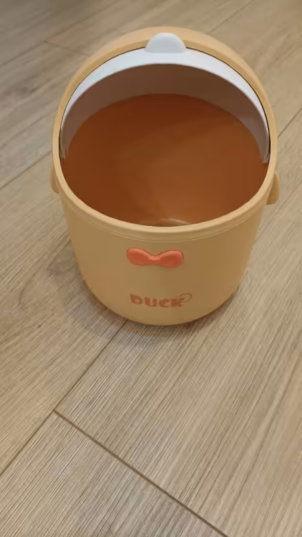 Photo of free Desktop bin. Duck design (SW11) #2