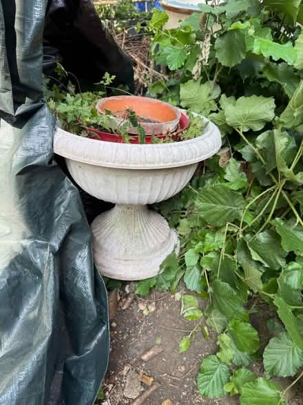 Photo of free Concrete looking planter and pots (Twickenham TW1) #1