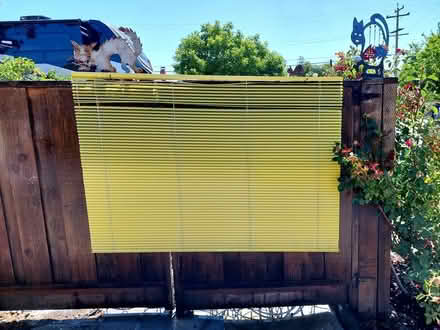 Photo of free Two Yellow Mini Blinds (Livermore) #2