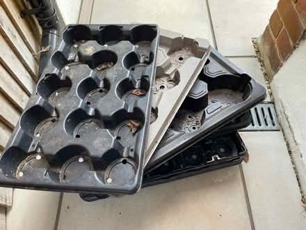 Photo of free Plant trays (Banstead) #1