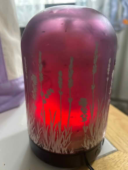 Photo of free Lighted oil diffuser (10011 (17th & 9th)) #2
