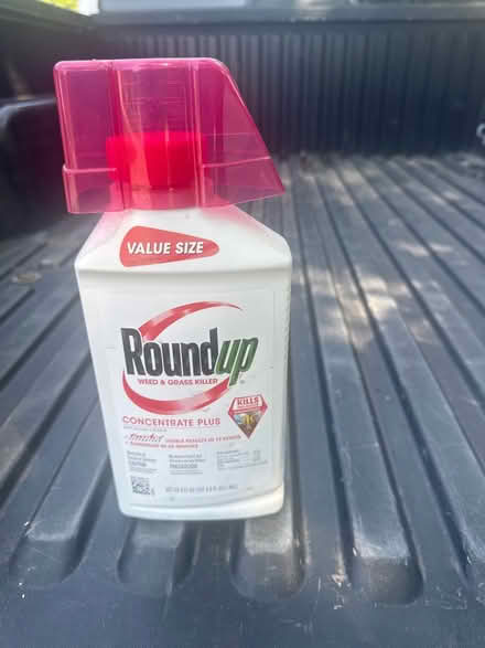 Photo of free RoundUp (Drake and Maple) #1