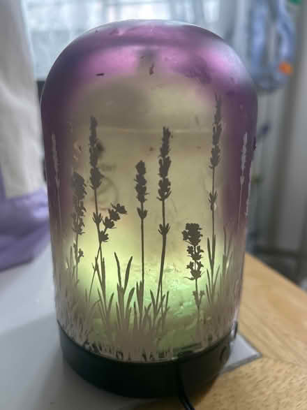 Photo of free Lighted oil diffuser (10011 (17th & 9th)) #1
