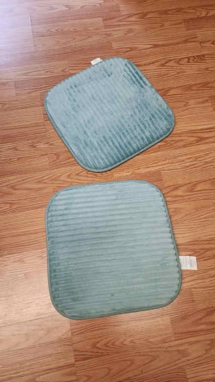 Photo of free Seat cushions (Prospect park south) #1