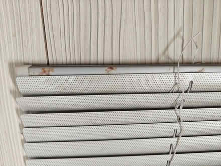 Photo of free Window blind (Gold St area NN8) #2