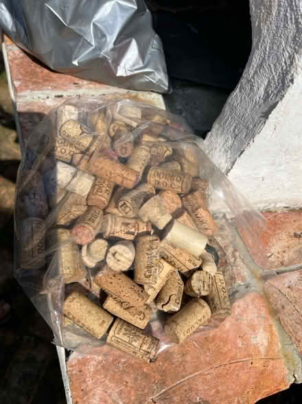 Photo of free Bag of corks (Hove BN3) #1