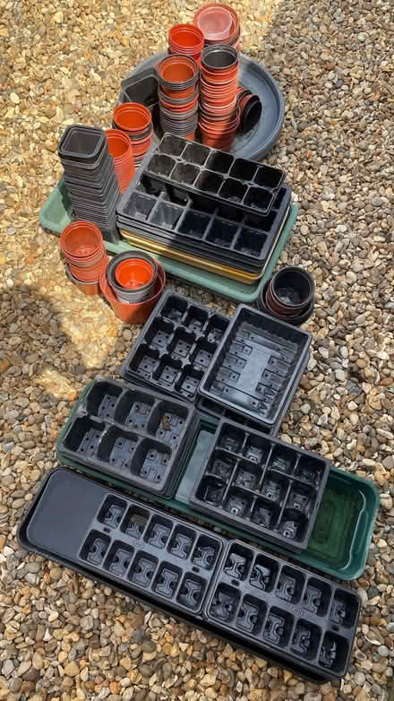 Photo of free Assorted plant pots and seed trays (Thorpe Hamlet NR1) #1