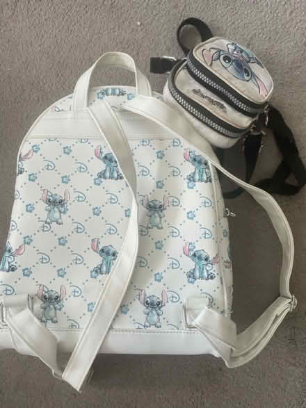 Photo of free Disney Stitch bags (Ingatestone CM4) #2