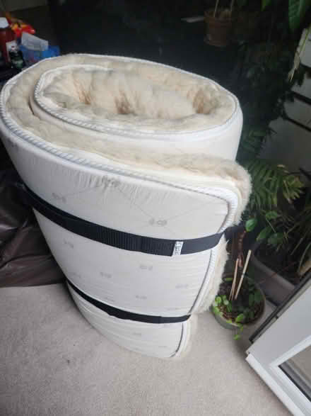 Photo of free Sheep skin mattress topper, Single (SE16 3JD) #1