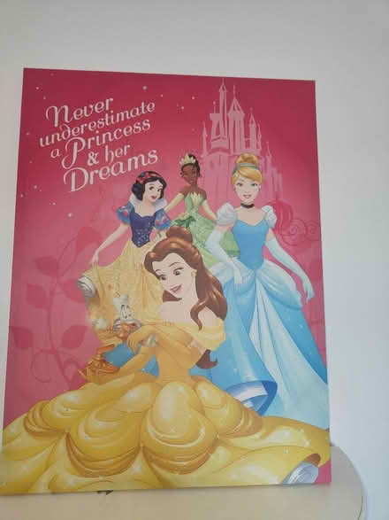 Photo of free Glittery Princesses Canvas Picture (Old Harlow) #1