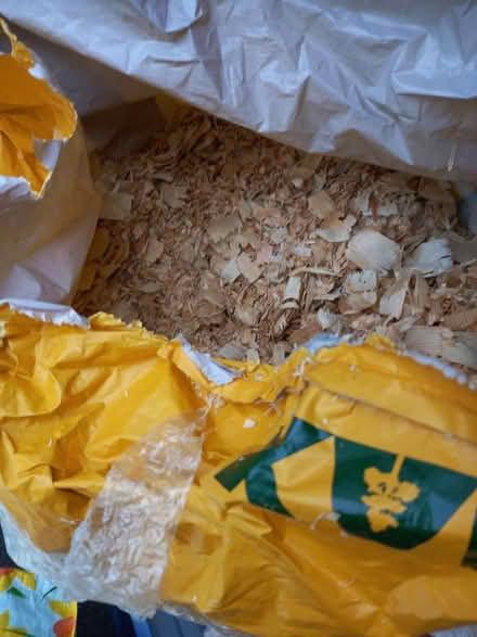Photo of free Large Pine Shavings (Collyhurst M40) #4