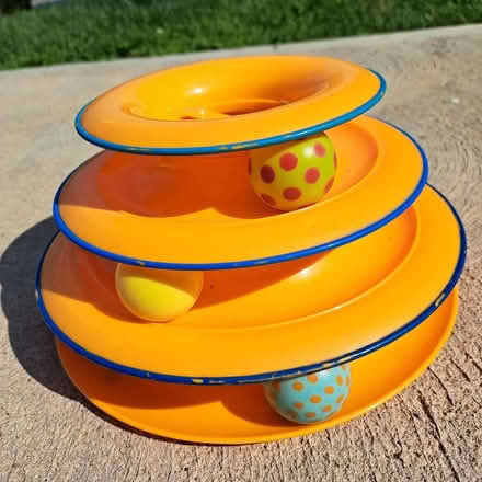 Photo of free cat stuff (Allison Park-- Hampton) #1