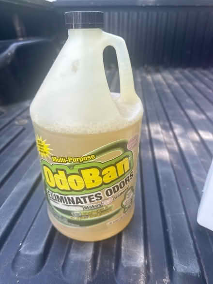 Photo of free OdoBan (Drake and Maple) #1
