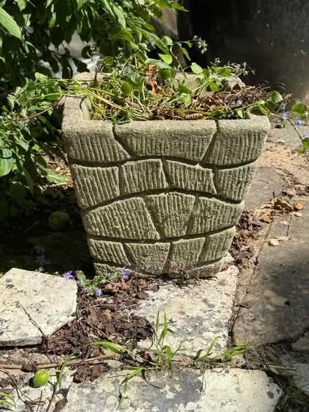 Photo of free 2 Concrete plant pots (Twickenham TW1) #1