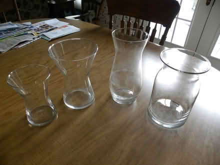 Photo of free Glass Flower Vases (Troy) #1
