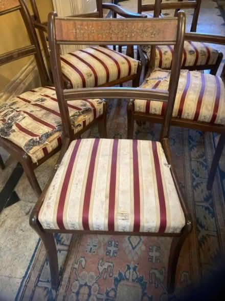 Photo of free 6 x dining chairs (inc 2 with arms) (Trowbridge BA14) #3