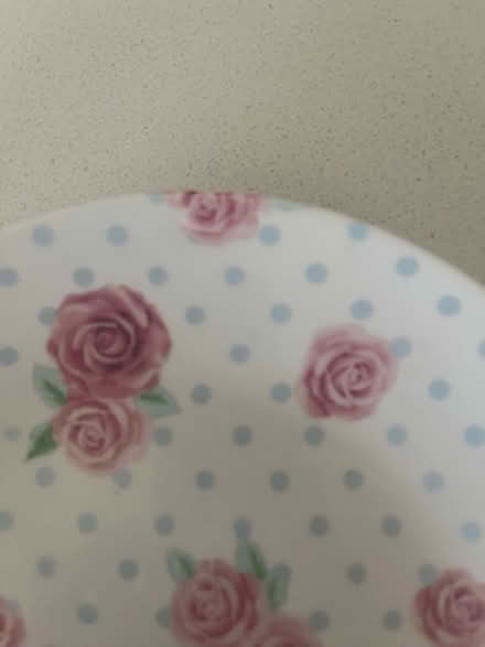 Photo of free Super cute side plate (Ingatestone) #2