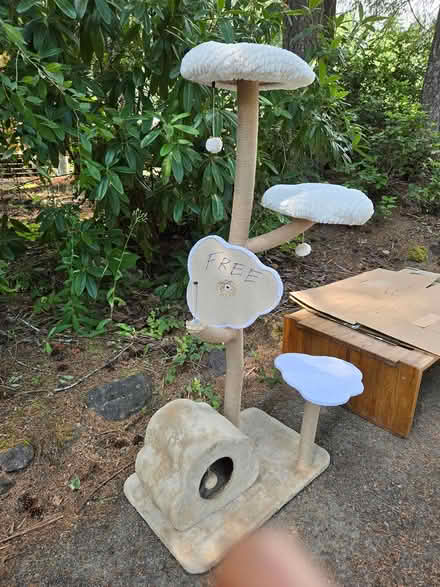 Photo of free Cat scratch tree and coffee table (Near Purdy) #1