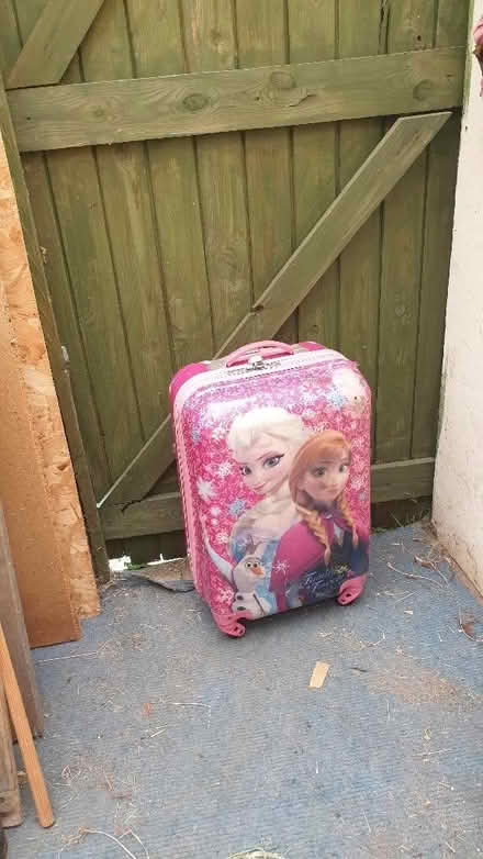 Photo of free Frozen Trolley bag (IP4) #1
