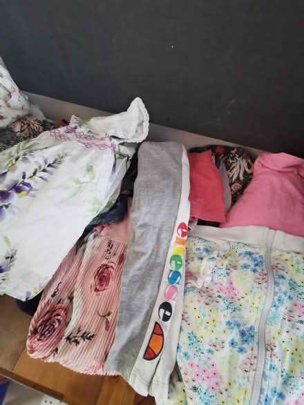 Photo of free Random of girl's clothes (EN7 Goffs oak) #4