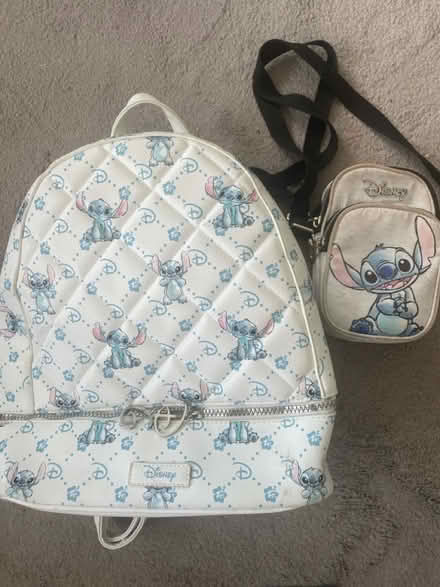 Photo of free Disney Stitch bags (Ingatestone CM4) #1
