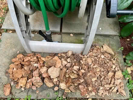 Photo of free Rocks for Garden, Pond, Backfill (Germantown) #1