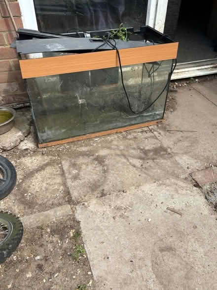 Photo of free 3ft fish tank (Haslemere) #1