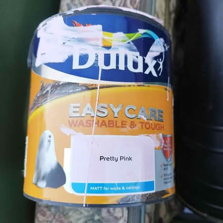 Photo of free Pink Paint (Morden SM4) #1