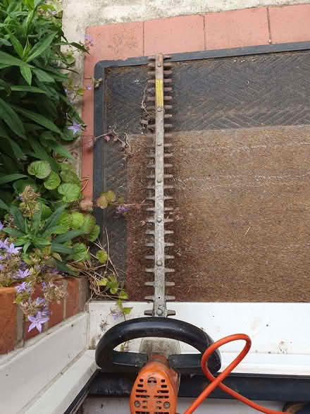Photo of free Black and Decker hedge trimmer (Tilehurst RG31) #1