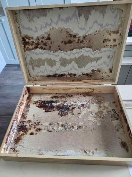 Photo of free Silverware Box (Ambler) #2
