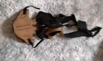 Photo of free Baby carrier (Granton, EH5) #1