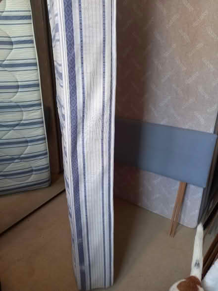 Photo of free Single 3ft bed, divan & headboard (Cranleigh GU6 7AJ) #4