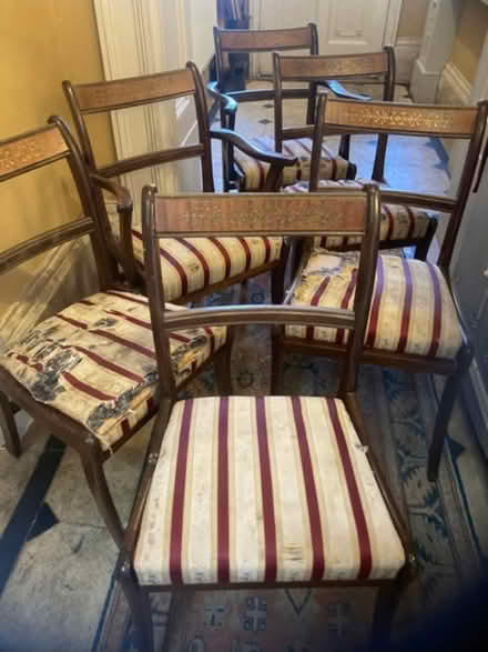 Photo of free 6 x dining chairs (inc 2 with arms) (Trowbridge BA14) #1