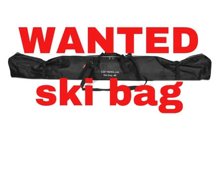 Photo of Fabric ski bag (Minehead) #1