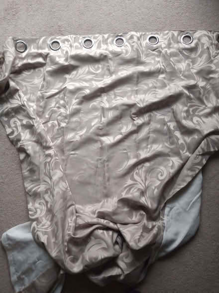 Photo of free curtain (Colinton EH13) #1