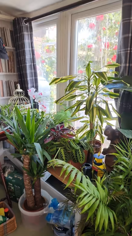 Photo of free summer room / workshop (basingstoke popley RG24) #2
