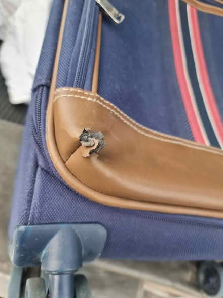 Photo of free Suitcase, 4 Wheeled, Small (CT2) #2