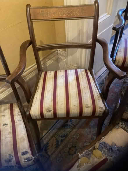 Photo of free 6 x dining chairs (inc 2 with arms) (Trowbridge BA14) #4