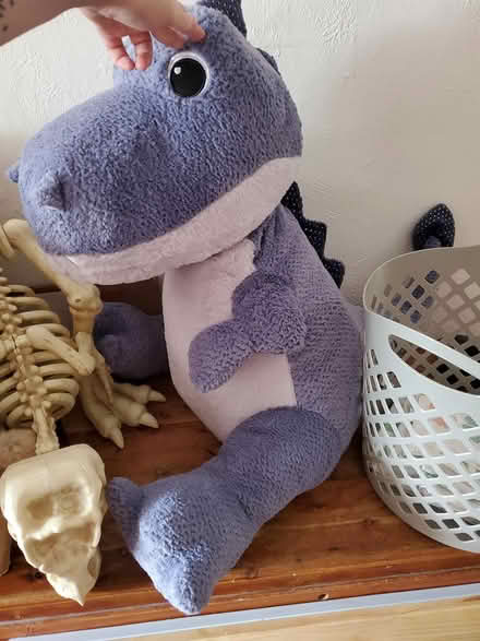Photo of free A very large plush dinosaur (Brattle St) #1