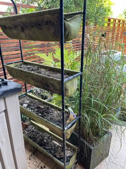 Photo of free Vigo Root plant stand grower (N6 Highgate High Street) #2