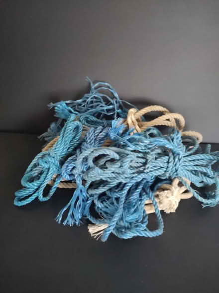 Photo of free random bits and bobs (Threemilestone) #3