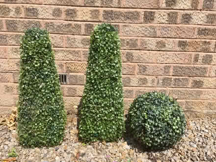 Photo of free Artificial garden topiary (Jennyfields HG3) #1