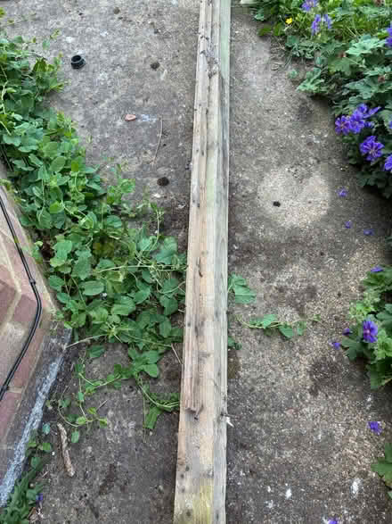 Photo of free Fence Post (damaged) (Banstead) #2
